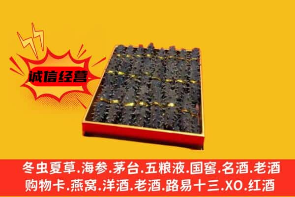 德州市宁津回收海参